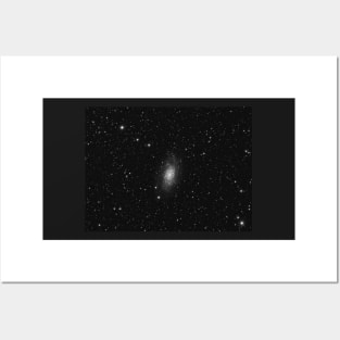 Deep sky object, NGC 2403 intermediate spiral galaxy in the constellation Camelopardalis Posters and Art